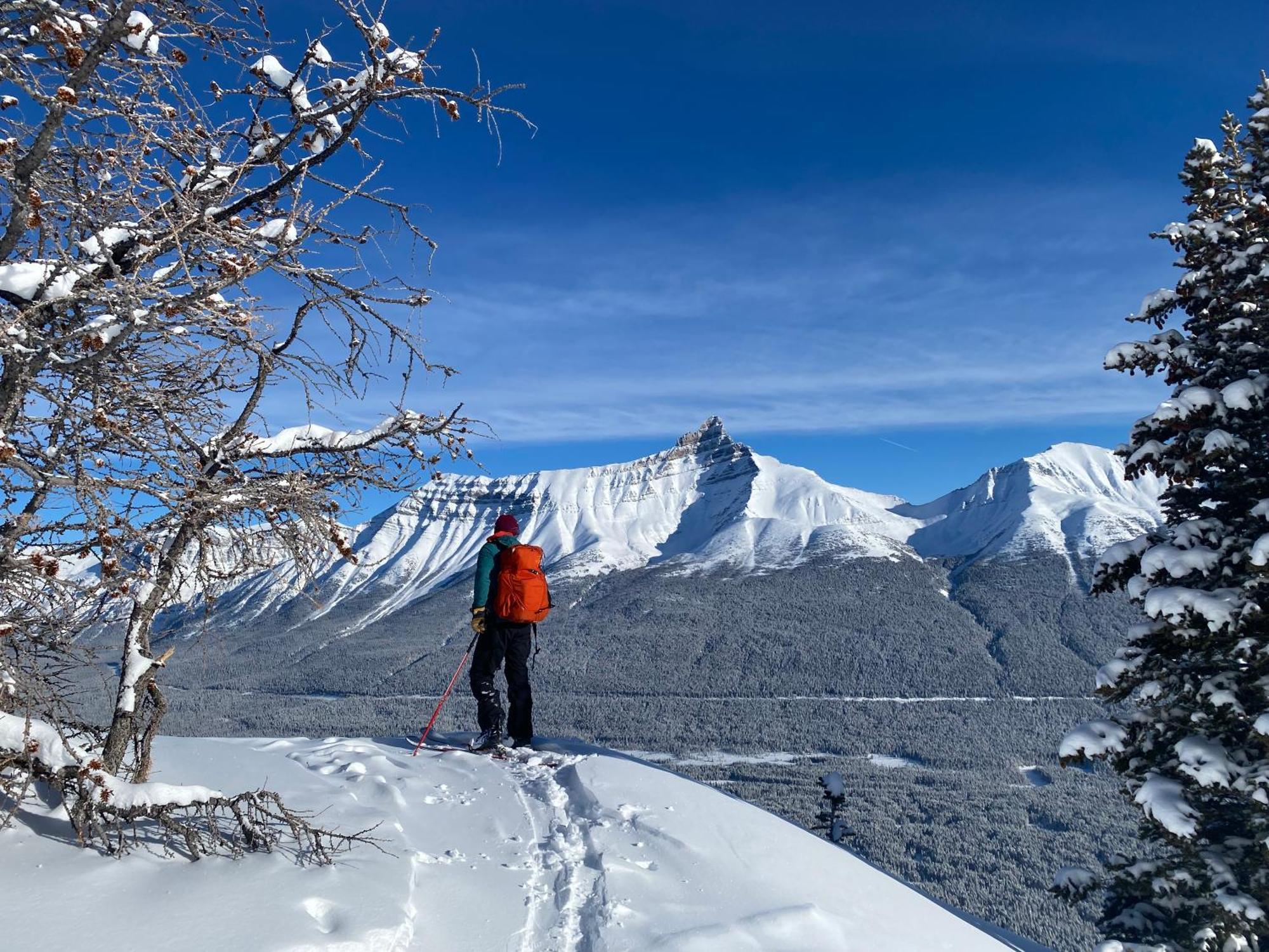 The Lodge At Bow Lake Lake Louise Exterior foto