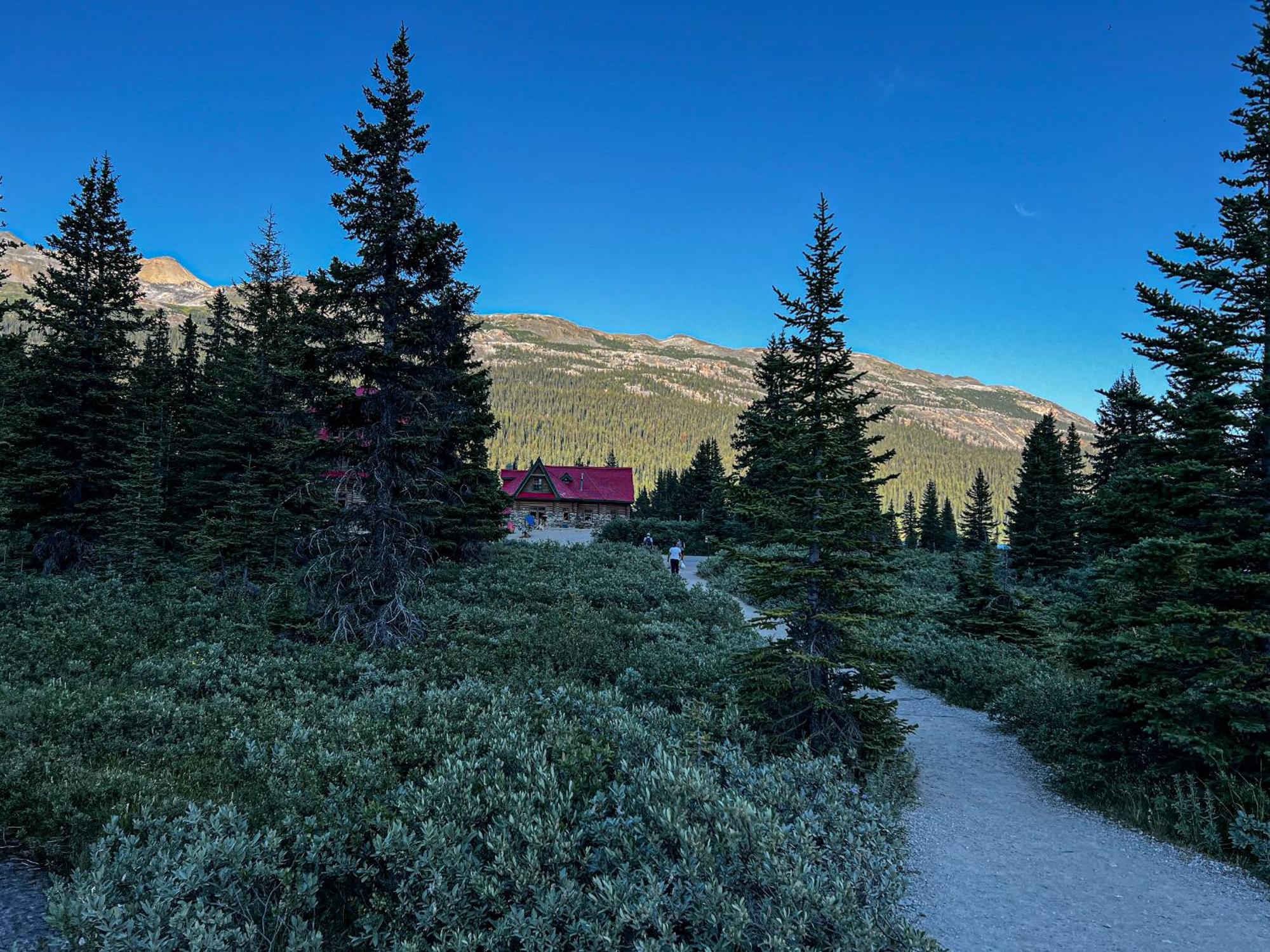 The Lodge At Bow Lake Lake Louise Exterior foto