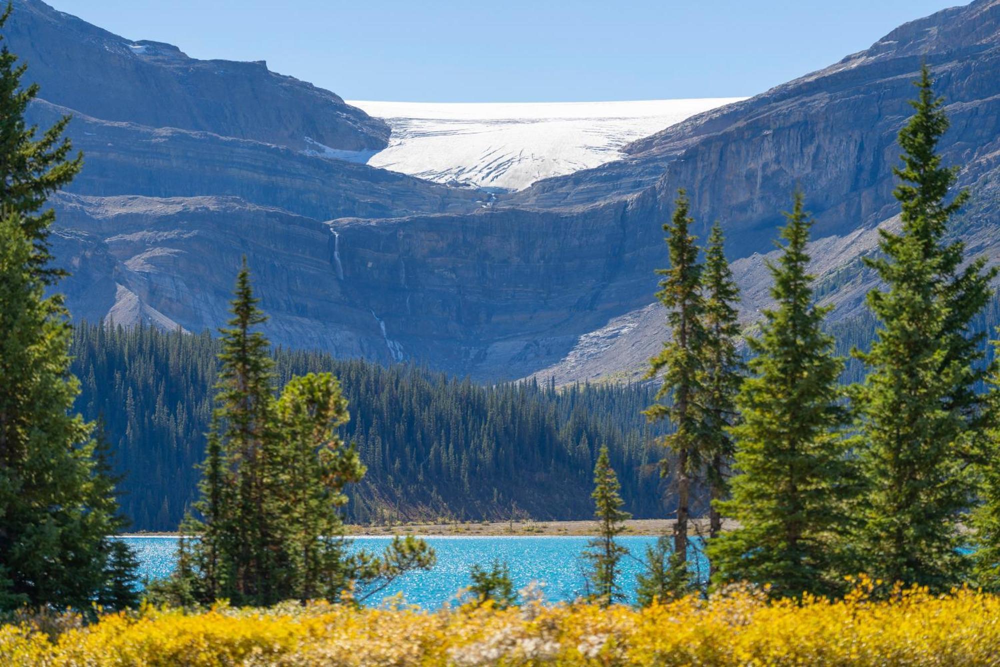 The Lodge At Bow Lake Lake Louise Exterior foto