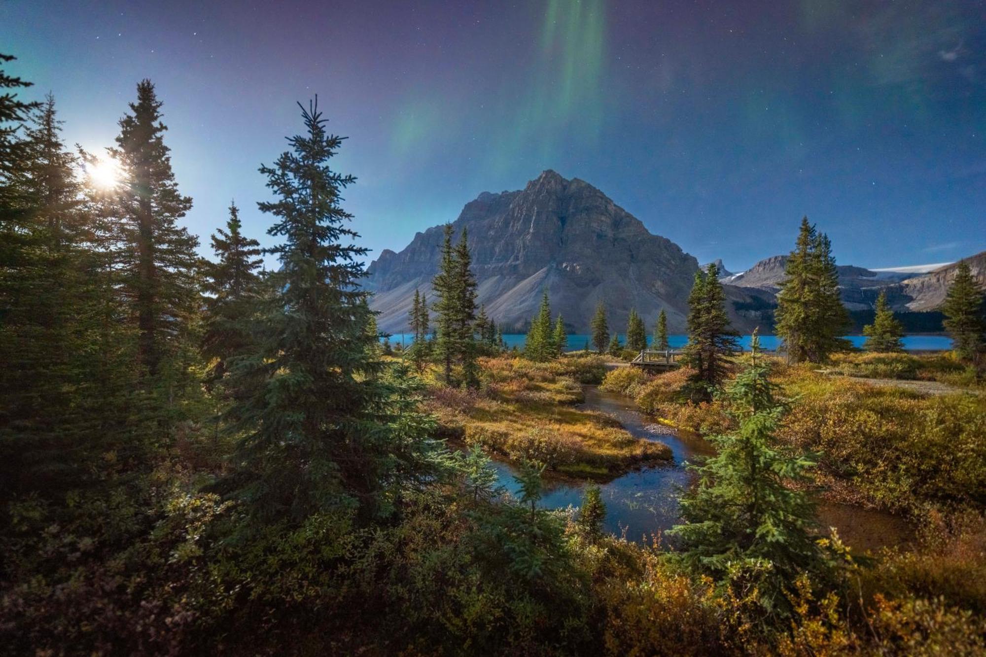The Lodge At Bow Lake Lake Louise Exterior foto